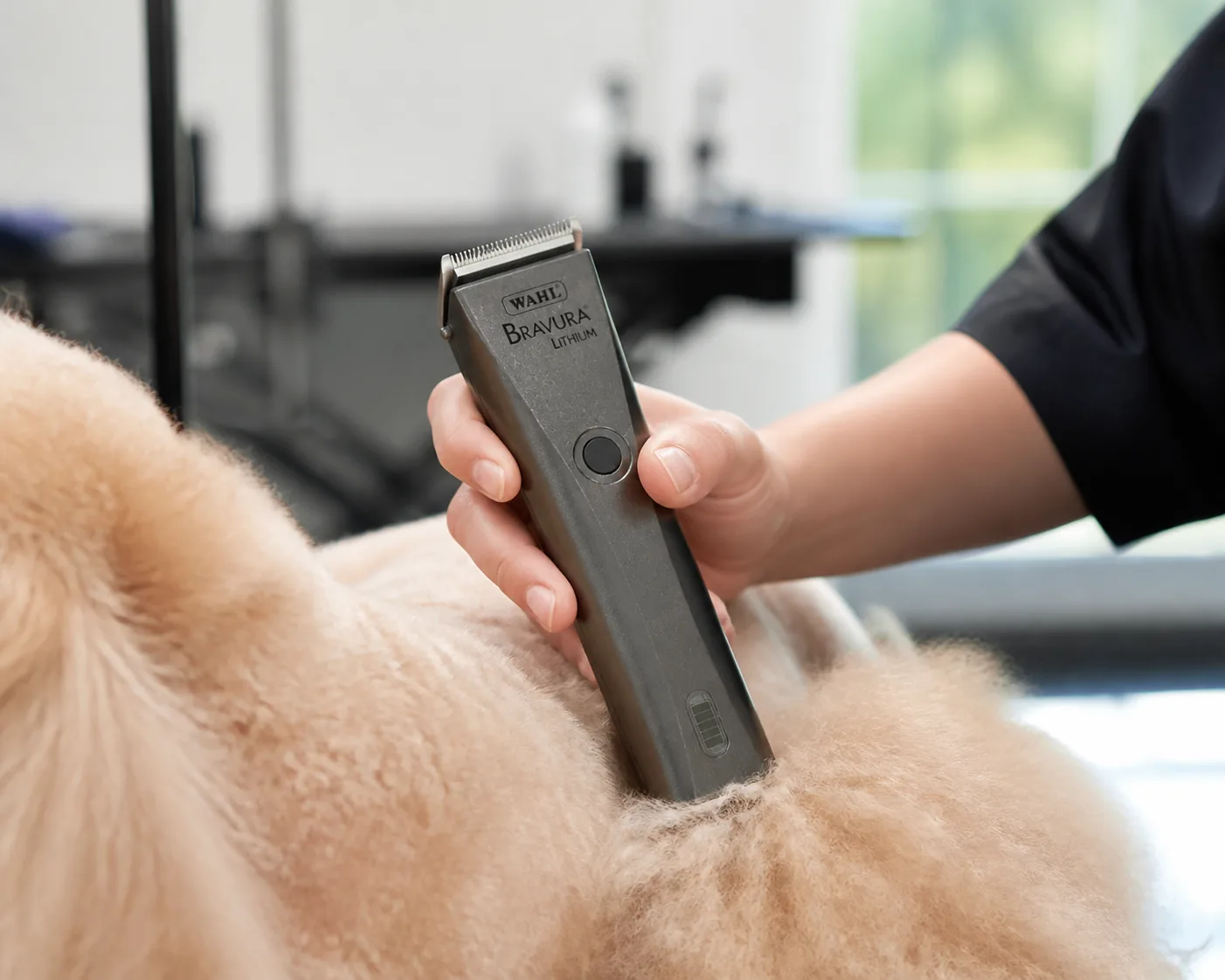 Uso e manuseio da Wahl Bravura Gunmetal Wahl Bravura Gunmetal sendo manuseada em contexto de tosa